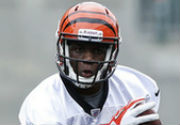 Mohamed Sanu